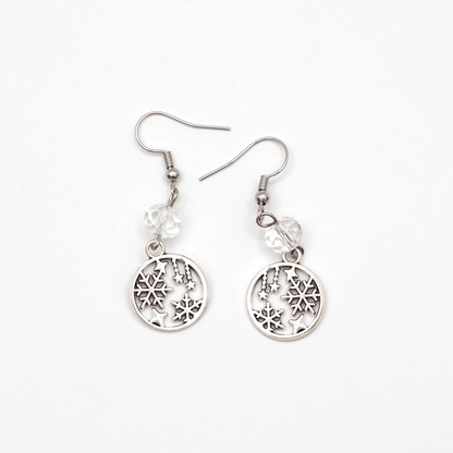 Earring Subscription Box - January